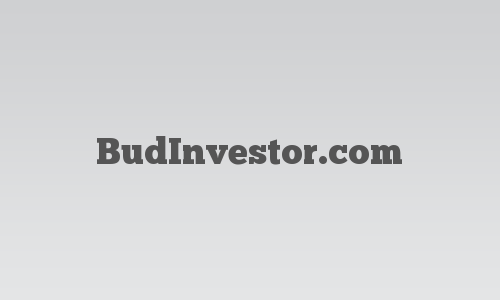 BudInvestor.com logo