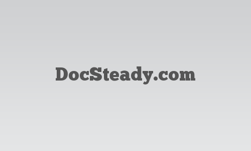 DocSteady.com logo