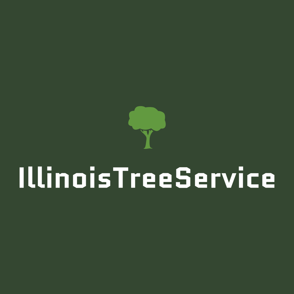 IllinoisTreeService.com logo