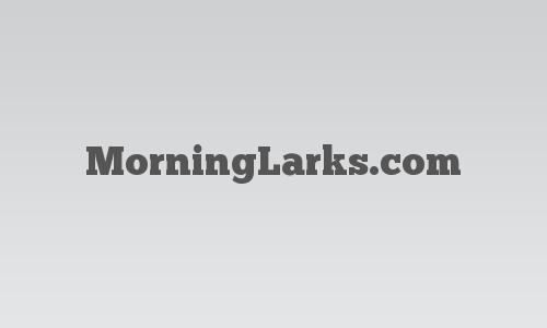 MorningLarks.com logo